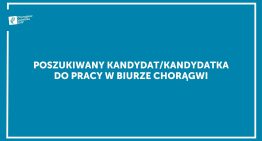 Chorągiew Lubelska Związku Harcerstwa Polskiego poszukuje kandydatki/kandydata do&nbsp;pracy w&nbsp;biurze
